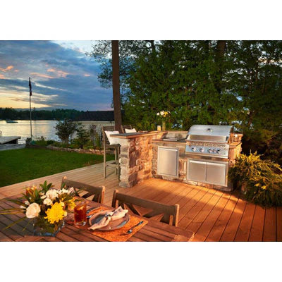 Napoleon Built-in 700 Series 32 - Stainless Steel — Premium Gas Grill | Biltong Chief Hong Kong