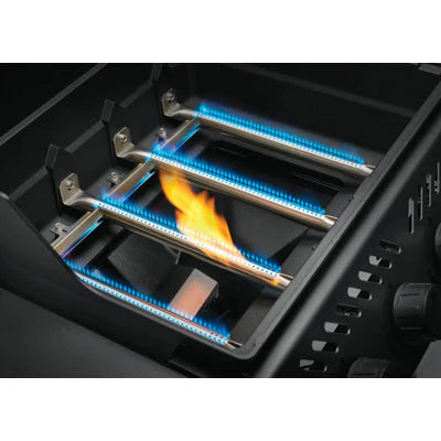 Napoleon Freestyle 4 Burner Graphite - 2025 — Premium Gas Grill | Biltong Chief Hong Kong