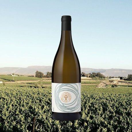 Cape Rock White Wine Blend — South African | Biltong Chief Hong Kong