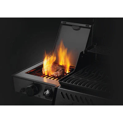 Napoleon Freestyle 4 Burner Graphite - 2025 — Premium Gas Grill | Biltong Chief Hong Kong