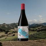 AA Badenhorst Family Red Wine — South African | Biltong Chief Hong Kong