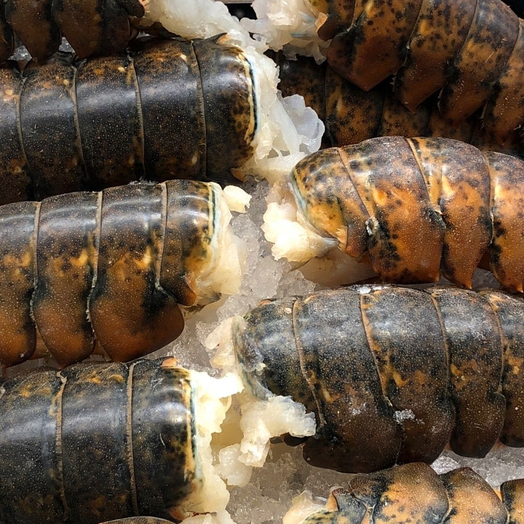 Raw Lobster Tail — Premium | Biltong Chief Hong Kong