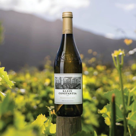 Klein Constantia Chardonnay — South African | Biltong Chief Hong Kong