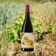 AA Badenhorst Raaigras Grenache — South African | Biltong Chief Hong Kong