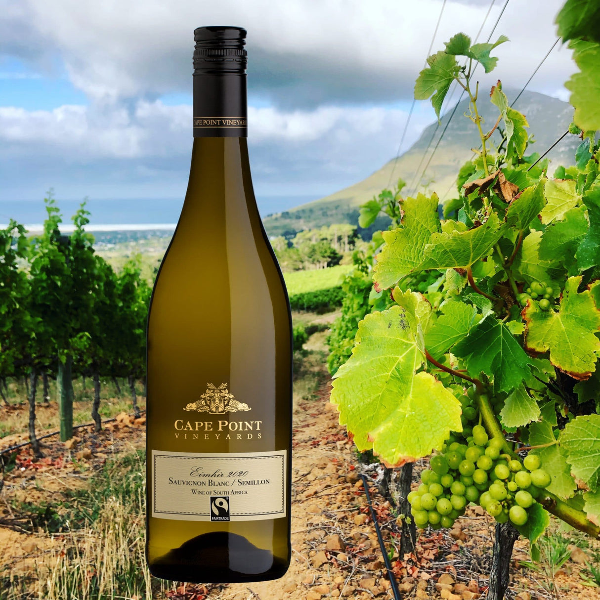 Cape Point Sauv / Semillon Blend — South African | Biltong Chief Hong Kong