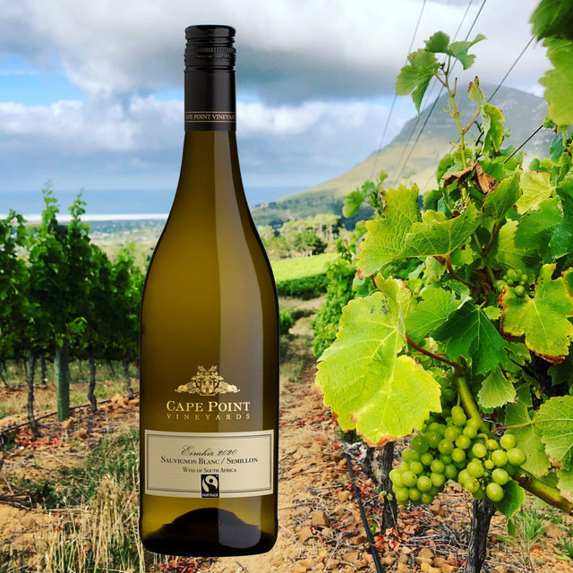 Cape Point Sauv / Semillon Blend — South African | Biltong Chief Hong Kong