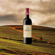 Kanonkop Estate Kadette Pinotage — South African | Biltong Chief Hong Kong