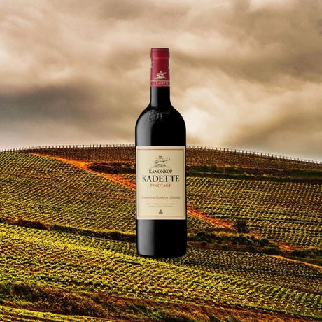 Kanonkop Estate Kadette Pinotage — South African | Biltong Chief Hong Kong